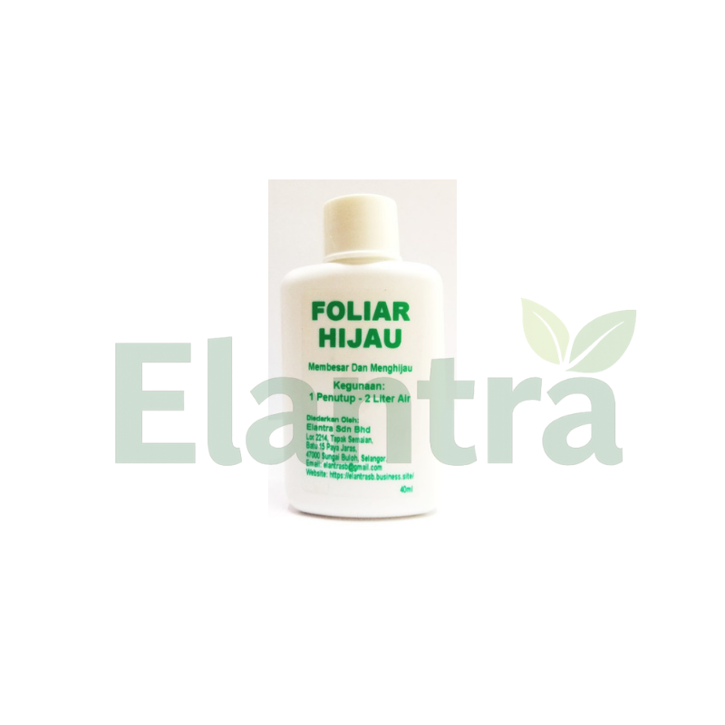 FOLIAR HIJAU